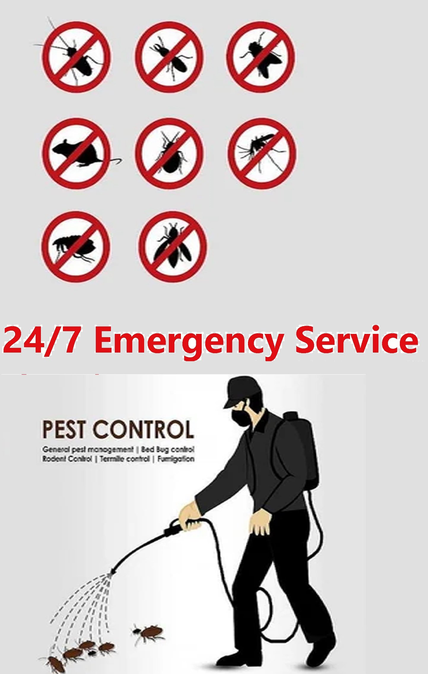 Mosquito Control